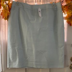 Rand new Ann Taylor skirt